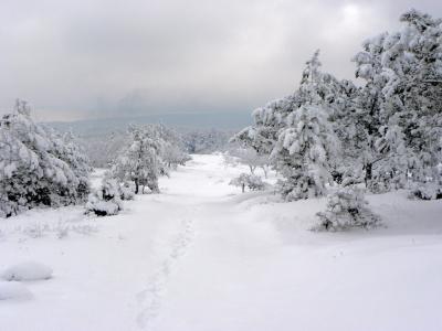 Прикрепленное изображение: 3983692_large.jpeg